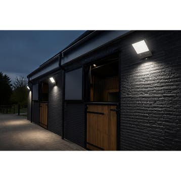 LED Breedstraler - Rinzu Stratos - 400 Watt - Helder/Koud, Ophalen of Verzenden, Nieuw, Lamp met armatuur
