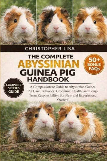 9798248531288 The Complete Abyssinian Guinea Pig Handbook, Verzenden, Nieuw, Christopher Lisa