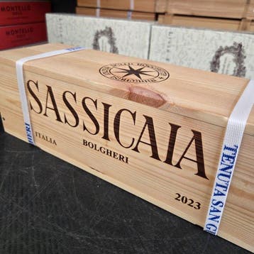 2023 Tenuta San Guido, Sassicaia - Bolgheri DOC - 1 Magnum, Nieuw