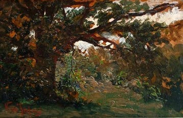 Vincenzo de Stefani (1859-1937) - Veduta boschiva