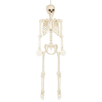 Decoratie Skelet Skinny, Verzenden, Nieuw, Feestartikel