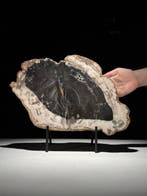 Prachtige plak versteend hout op een op maat gemaakte