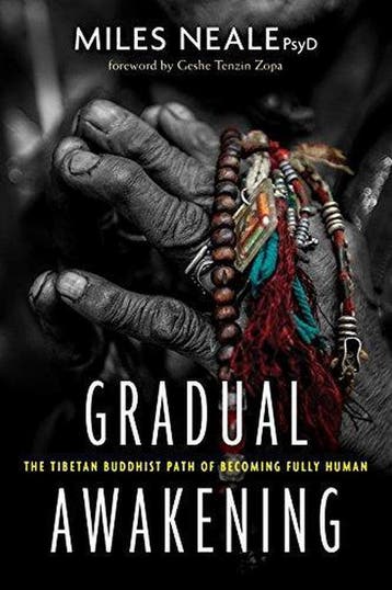 Gradual Awakening - Miles Neale - 9781683642091 - Paperback, Boeken, Verzenden, Nieuw