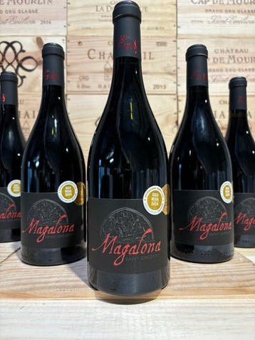 2022 Mas d’Arcay Magalona - Languedoc - 6 Flessen (0.75, Nieuw