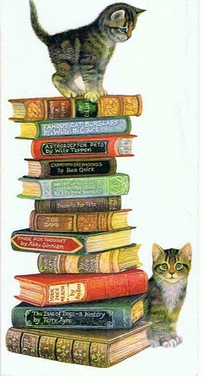 Heel veel mooie, goedkope boeken / romans te koop !!, Boeken, Romans, Zo goed als nieuw, Ophalen of Verzenden