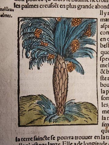 Sebastian Münster (1489–1552) - Cosmographie Universelle -
