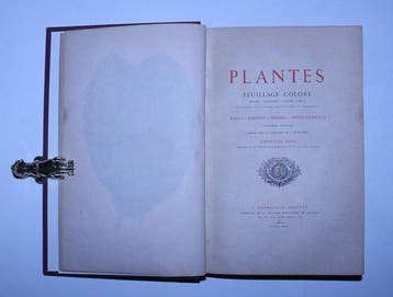 Edward Joseph Lowe / W. Howard - Les Plantes à Feuillage, Antiek en Kunst