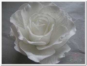 Foamroos Sophie Snow White 15 cm Doos 12 stuks, Ophalen of Verzenden, Nieuw