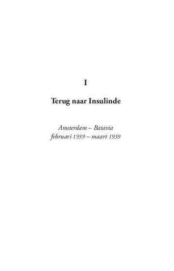 Terug naar Insulinde 9789048864522 Elle van Rijn, Boeken, Verzenden, Gelezen, Elle van Rijn
