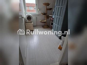 Nieuwendijk: Gezellig huis met 4 kamers