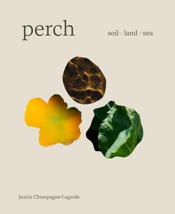 9781773272474 Perch Justin Champagne-Lagarde, Verzenden, Nieuw, Justin Champagne-Lagarde