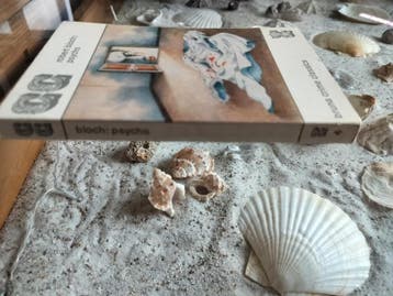 Robert Bloch - Psycho - Bruna crime classics pocket, Boeken, Gelezen, Robert Bloch