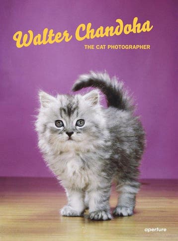 Walter Chandoha - Walter Chandoha 9781597114530, Verzenden, Zo goed als nieuw, Walter Chandoha