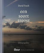 Een soort troost / Wablieft 9789464342376 David Troch, Verzenden, Gelezen, David Troch