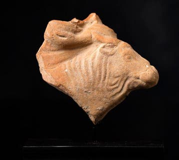 Oud-Griekenland, Terracotta Stier terracotta-fragment - 7 cm