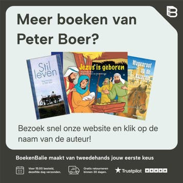 Vol hoofd - Peter Boer 9789491363085, Verzenden, Zo goed als nieuw, Peter Boer