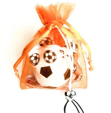 Team NL set met zonnebril en 2 buttons, Ophalen of Verzenden, Nieuw, Overige typen