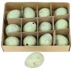 Kwarteleitjes Groen 12 stuks uitgeblazen voor decoratie, Ophalen of Verzenden, Nieuw