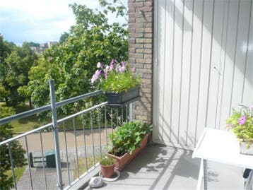 Te huur: Appartement van Ewijcksingel in Meppel, Meppel, Appartement, Drenthe