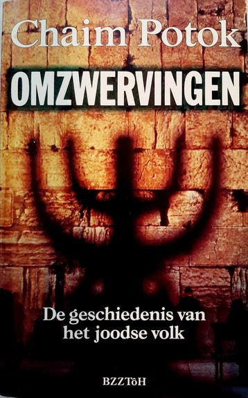 Omzwervingen - Chaim Potok 9789062917181, Verzenden, Gelezen, Chaim Potok