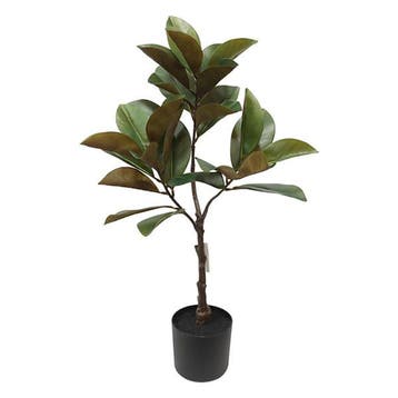 Kunstplant Magnolia | Gardalux | 95 cm (In pot), Verzenden, Nieuw