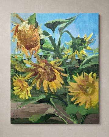 Della Goinne - Helianthus Annuus - Wild Anatomy Series