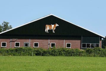 Borden voor:  Stal / manege / boerderij / etc. GRATIS DESIGN, Verzenden, Nieuw