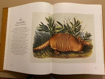 86  Dierenprenten Audubon (19e eeuw) + Hedendaagse Fotos, Ophalen of Verzenden, Gelezen