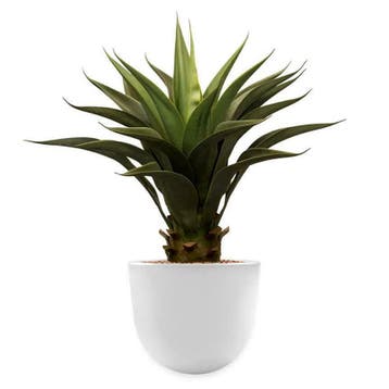 Zijden kunstplanten, diverse soorten & maten, met sierpotten, Ophalen of Verzenden, Overige soorten, In pot