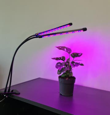 LED grow light - 2 voudig - Rood/blauw/paars - Met, Ophalen of Verzenden, Nieuw