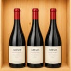 2022 Artadi Valdeginés - Álava - 3 Fles (0,75 liter), Nieuw
