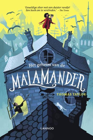 Het geheim van de malamander / Owee aan Zee / 1, Verzenden, Zo goed als nieuw, Thomas Taylor