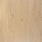Klik pvc rechte plank  |  Douwes Dekker Ambitieus Riante, Ophalen, Nieuw