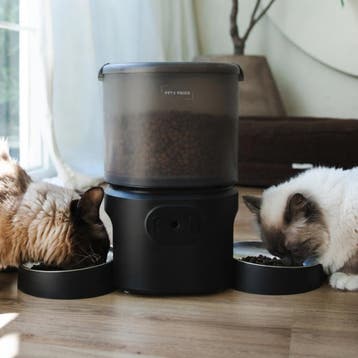 Automatische Voerbak Kat 2 Katten – Full HD Camera 5L, Verzenden, Nieuw