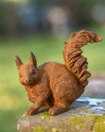 Beeld, No Reserve Price- Rustic Cast Iron Red Squirrel