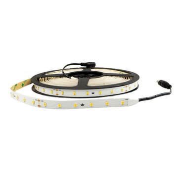 10 meter constant current led strip IP20 - 1 lange lengte, Verzenden, Nieuw