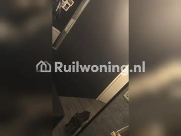 Nijmegen flat voor jouw plek ruilen?