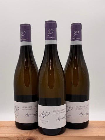 2022 Agnès Paquet Le Clou et la Plume - Bourgogne Aligoté, Nieuw
