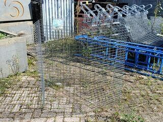 24x set Bladkorf, Nieuw