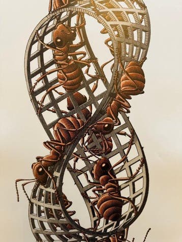 M. C. Escher - baarn Holland - Mobius - Jaren 2000, Antiek en Kunst
