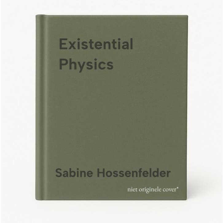 Existential Physics - Sabine Hossenfelder 9781984879455, Boeken, Taal | Engels, Gelezen, Verzenden