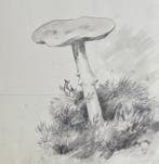 Louise Abbéma (1853-1927). - Champignons du chemin vers la