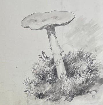 Louise Abbéma (1853-1927). - Champignons du chemin vers la, Antiek en Kunst, Kunst | Schilderijen | Klassiek