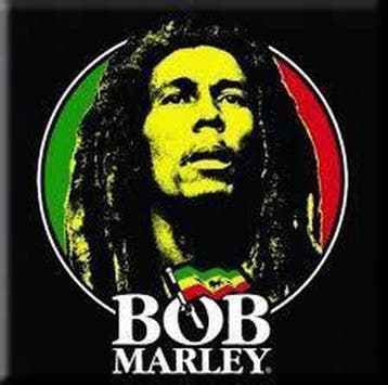 Bob Marley Face Logo Koelkast magneet officiële merchandise, Verzamelen, Ophalen of Verzenden, Nieuw, Gebruiksvoorwerp