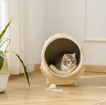 Kattenhuis met Kraskussen – Verhoogd Kattenbed Grenenhout 41, Dieren en Toebehoren, Kattenmanden, Verzenden, Nieuw