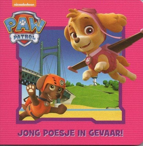 Paw Patrol Skye - boek, Boeken, Overige Boeken, Gelezen, Verzenden