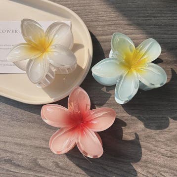 3x Grote Boho Bloemen Haarclips Acryl - Gradient Kleuren & H, Verzenden, Nieuw