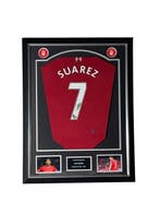 Liverpool - Spaanse voetbal competitie - Luis Suarez -, Nieuw