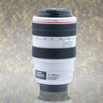 Canon EF 70-300mm f/4-5.6L IS USM - Tweedehands, Ophalen of Verzenden, Gebruikt, Telelens, Zoom