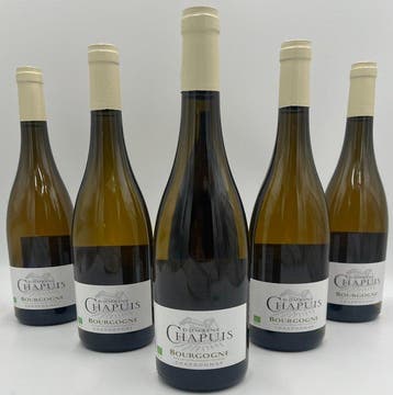 2021 Domaine Chapuis - Bourgogne - 6 Flessen (0.75 liter), Nieuw